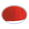 Otto Cap "Otto A-Flex" Polyester Pro Mesh Low Profile Pro Style Caps 