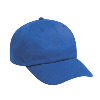 Otto Cap Brushed Cotton Twill Low Profile Pro Style Caps Royal