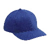 Otto Cap Brushed Cotton Twill Low Profile Pro Style Caps Royal