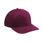 Brushed Cotton Twill Low Profile Pro Style Caps