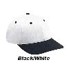 Otto Cap Brushed Cotton Twill Low Profile Pro Style Two Tone Color Caps 