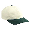 Otto Cap Natural Cotton Twill Low Profile Pro Style Two Tone Color Caps Dark Green/Natural