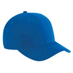 Brushed Cotton Twill Low Profile Pro Style Caps