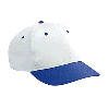 Otto Cap Cotton Twill Low Profile Pro Style Two Tone Color Caps Royal/White