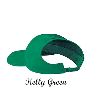 Otto Cap Brushed Cotton Twill Ponytail Low Profile Pro Style Caps Kelly