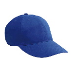 Brushed Cotton Twill "Otto Polo" Low Profile Pro Style Caps