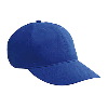 Otto Cap Brushed Cotton Twill "Otto Polo" Low Profile Pro Style Caps Royal
