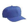 Otto Cap Cotton Twill Pro Style Caps Royal