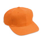 Neon Wool Blend Pro Style Cap
