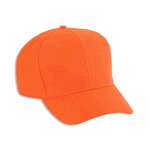 Neon Polyester Twill Pro Style Cap