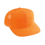 Neon Cotton Twill Pro Style Mesh Back Cap