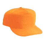 Neon Cotton Twill Low Crown Golf Style Caps