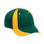 Piping Design Brushed Cotton Twill Low Profile Pro Style Two Tone Color Caps