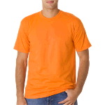 Adult Tee-Shirt