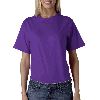 Anvil Adult Heavyweight Jersey Tee Purple