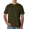 Anvil Adult Short-Sleeve 100% Organic Cotton Tee City Green