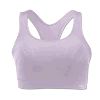 Champion Double Dry&reg; Seamless Shiny Sports Bra Purple Fog