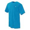 Champion Mens Cotton Jersey Tee Aqua