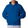 Champion Adult Reverse Weave Pullover Hoodie Team Blue