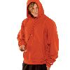 Champion Adult Reverse Weave Pullover Hoodie 