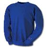 Champion Reverse Weave Crew Neck Sweatshirt 