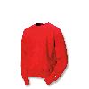 Champion Reverse Weave Crew Neck Sweatshirt 