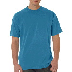 Adult Short Sleeve Tee