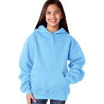Youth Hooded Sweatshirt