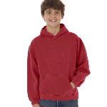 Youth Hooded Sweatshirt