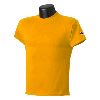 Champion Youth Short Sleeve Tee Gold