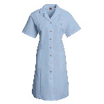 Womens Poplin Dress, Button Front